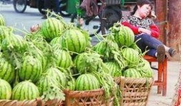 金乡吃瓜最新事件爆料,揭秘背后惊人真相！