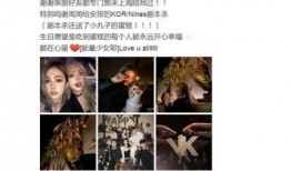 爆料明星素材视频大全最新,最新明星素材视频大全大揭秘