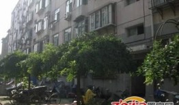 石家庄小区最新爆料消息,揭秘神秘事件背后的真相